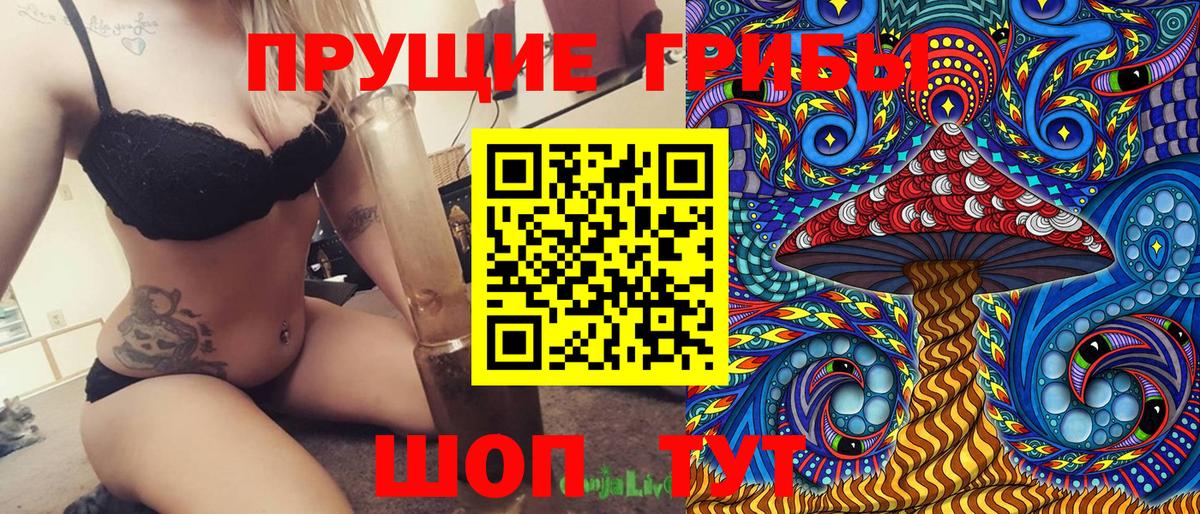 Галлюциногенные грибы Psilocybine cubensis Люберцы