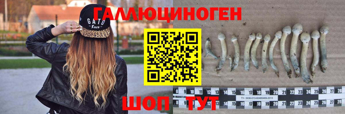 Люберцы  Псилоцибиновые грибы Psilocybine cubensis  Вход с VPN 